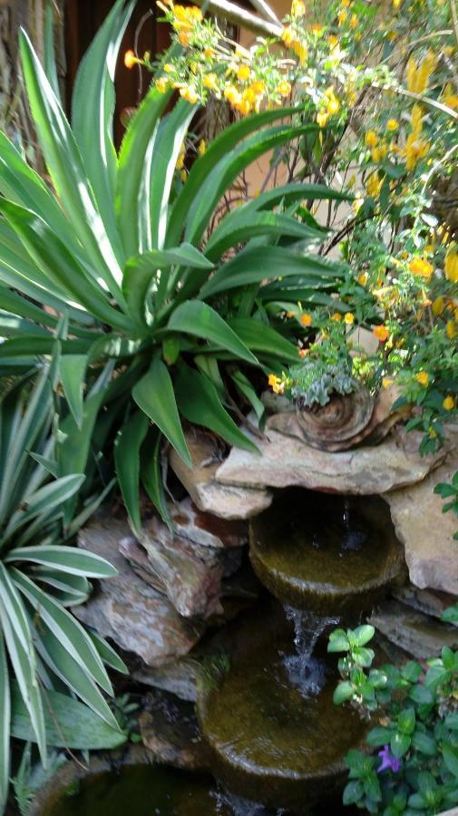 Eco Pousada Jardim Do Eden Алту-Параїзу-ді-Гояс Екстер'єр фото